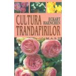 Cultura trandafirilor