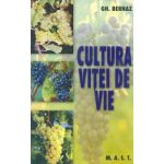 Cultura vitei de vie