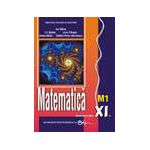 Matematica - manual pentru clasa a XI-a. M1