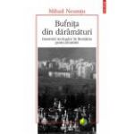 Bufnita din daramaturi. Insomnii teologice in Romania postcomunista