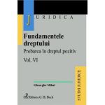 Fundamentele dreptului. Volumul VI - Probarea in dreptul pozitiv