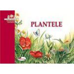 Plantele