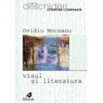 VISUL SI LITERATURA