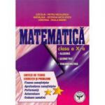 Matematica - clasa a X-a - Algebra. Geometrie. Trigonometrie - Sinteze de teorie - Exercitii si probleme