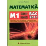 Bacalaureat 2013 Matematica M1 - Subiecte rezolvate