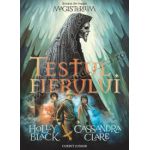 Testul fierului (MAGISTERIUM, vol. 1)