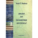 Pagini de geometrie sintetică