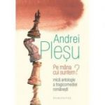 Pe mana cui suntem?-Andrei Plesu