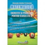 Matematica - exercitii si probleme pentru clasa a XI - a