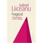 Tragicul |O fenomenologie a limitei si depasirii-Gabriel Liiceanu