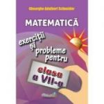 Matematica: exercitii si probleme, clasa a VII-a