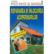 Repararea si inlocuirea acoperisurilor - Poti face si singur