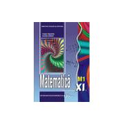 Matematica - Manual pentru clasa a XI-a. M1