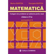 Matematica. Clasa a V-a. Culegere de probleme si subiecte pentru teze. Semestrul II