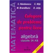Culegere de probleme pentru liceu. Algebra clasele IX-XII - Nita Nastasescu