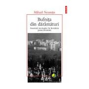 Bufnita din daramaturi. Insomnii teologice in Romania postcomunista