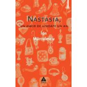Nastasia, Un amor de aproape un an