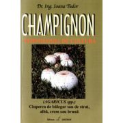 CHAMPIGNON - tehnologia de cultura