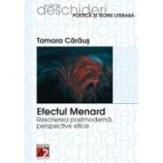 EFECTUL MENARD. RESCRIEREA POSTMODERNA: PERSPECTIVE ETICE