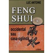 Feng Shui - occidental sau casa-oglinda