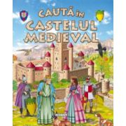 Cauta in castelul medieval