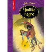 INDIILE NEGRE