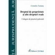 Dreptul de proprietate si alte drepturi reale. Culegere de practia judiciara