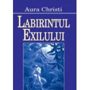 Labirintul exilului