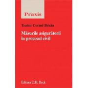 Masurile asiguratorii in procesul civil