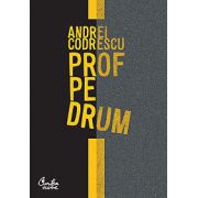 Prof pe drum