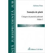 Somatia de plata. Culegere de practica judiciara. Editia 2