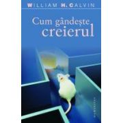 Cum gandeste creierul