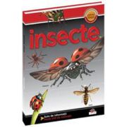 Insecte. Prima mea enciclopedie