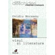 VISUL SI LITERATURA