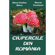 Ciupercile din România