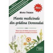 Plante medicinale din gradina Domnului