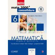 MATEMATICA. ALGEBRA, GEOMETRIE. CLASA A VI-A. PARTEA I - CONSOLIDARE