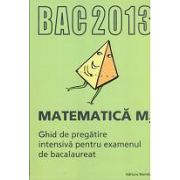 Bacalaureat 2013 Matematica M2