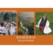 Bistrita-Nasaud