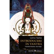 Introducere in tantra. Transformarea dorintei