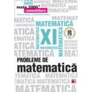 Probleme de matematica pentru clasa a XI - a