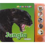 Jungla - glasuri vesele