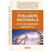 Matematica, evaluare nationala 2014