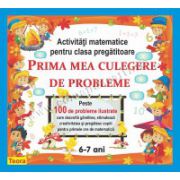 PRIMA MEA CULEGERE DE PROBLEME ACTIVITATI MATEMATICE PENTRU CLASA PREGATITOARE