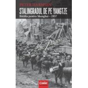 STALINGRADUL DE PE YANGTZE. Bătălia pentru Shanghai – 1937