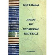 Pagini de geometrie sintetică