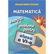 Matematica: exercitii si probleme, clasa a VI-a