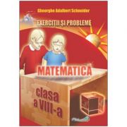 Matematica: exercitii si probleme, clasa a VIII-a