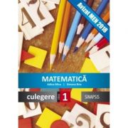 Matematica-Culegere pentru clasa I