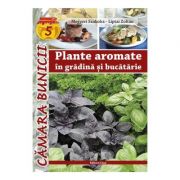 Plante aromate in gradina si bucatarie